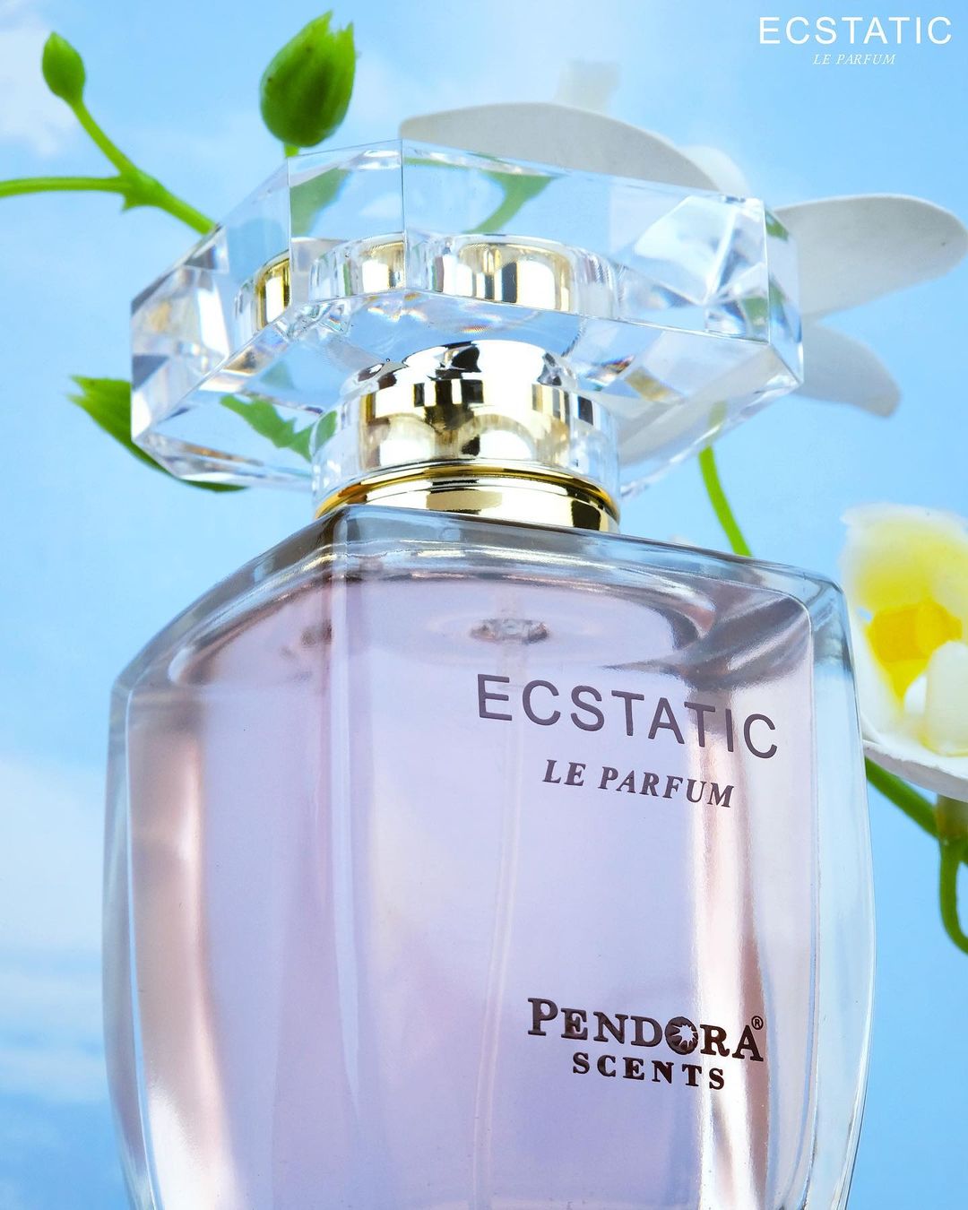 ECSTATIC LE PARFUM PENDORA