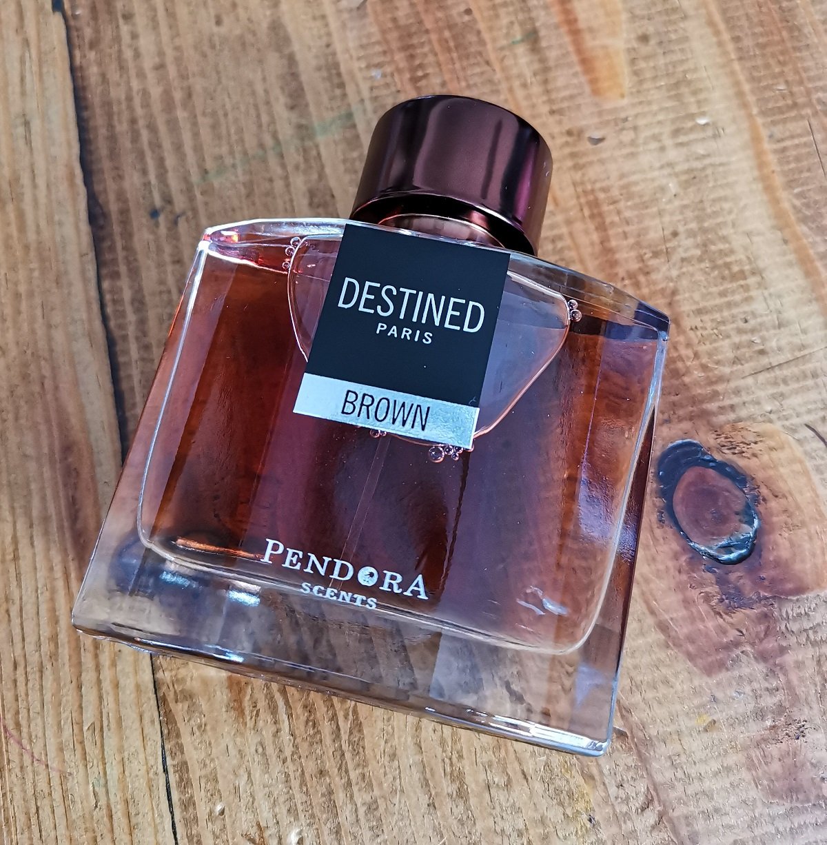 DESTINED BROWN PENDORA