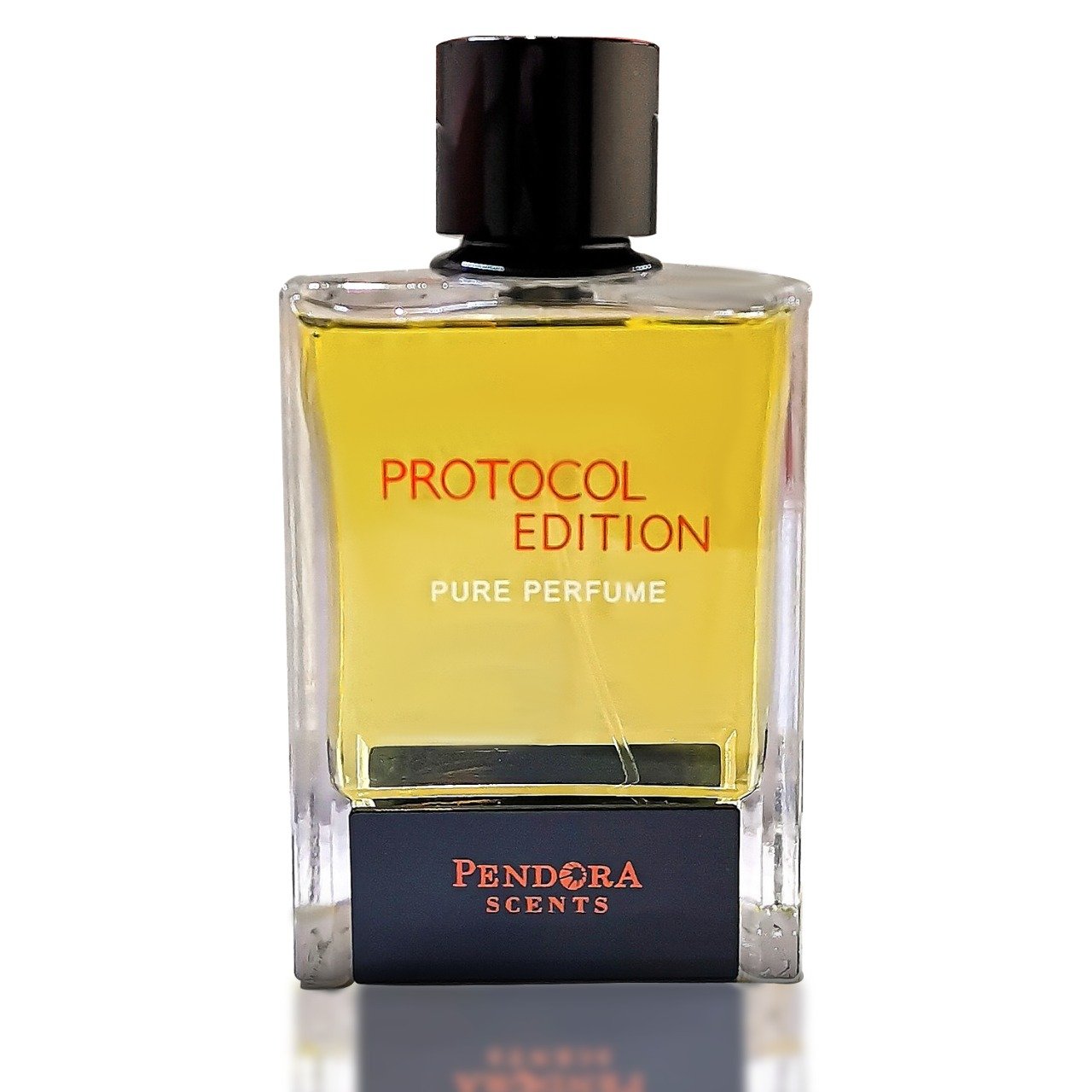 PROTOCOL EDITION